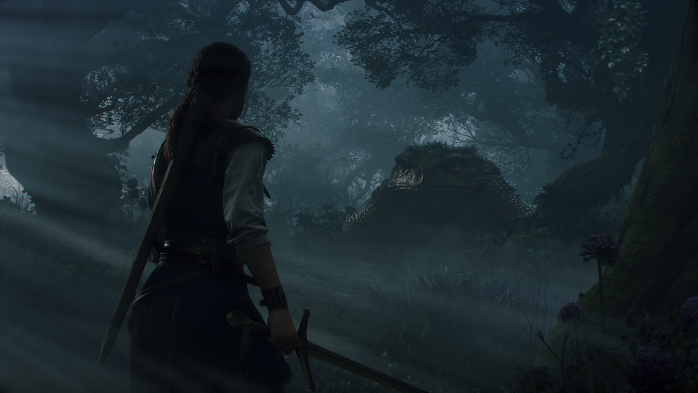 PA_cin080_sh010_staticToad