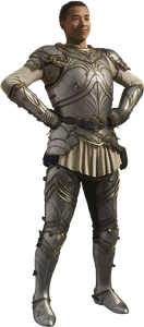 splendid-armour